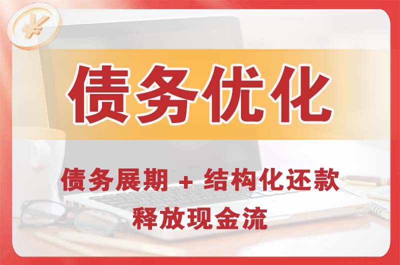 岷县债务优化