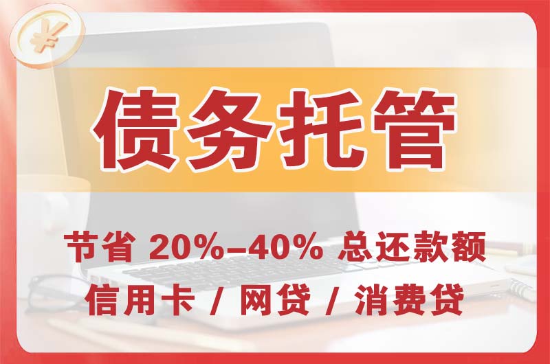 岷县债务托管