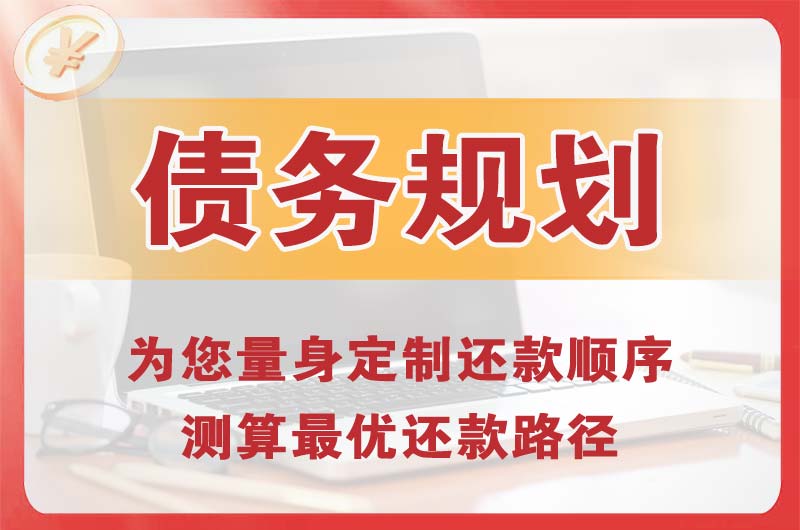 岷县债务规划